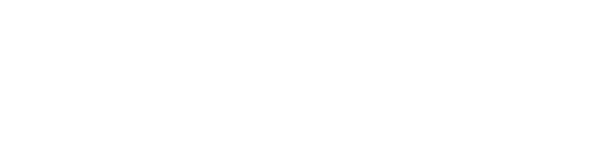 PROJECT: 4NKUSH